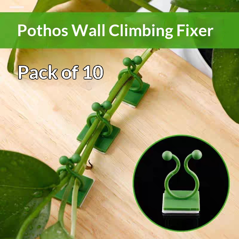 Self‑Adhesive Plant Climbing W - Vine Climbing Plastic ulasan dan harga