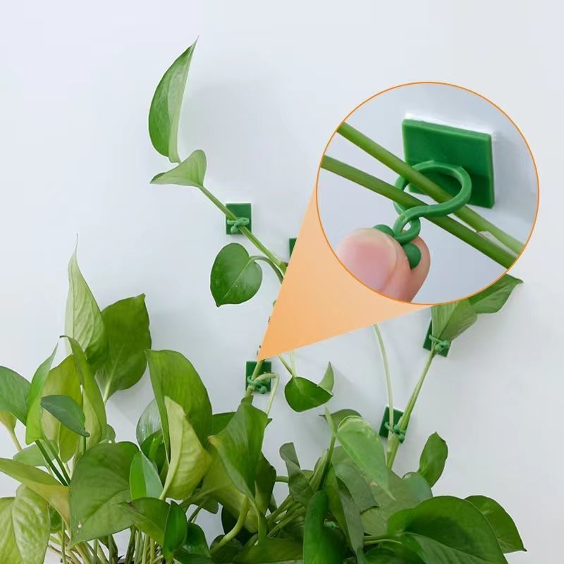 Self‑Adhesive Plant Climbing W - Vine Climbing Plastic ulasan dan harga