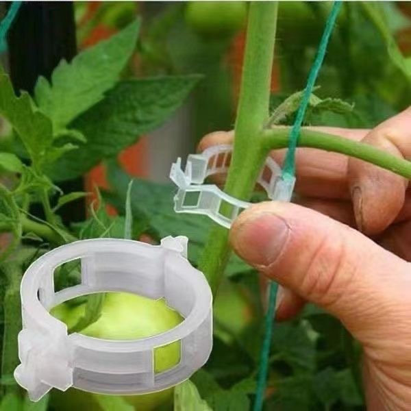500Pcs Plastic Plant Support C - Vine Climbing Plastic ulasan dan harga