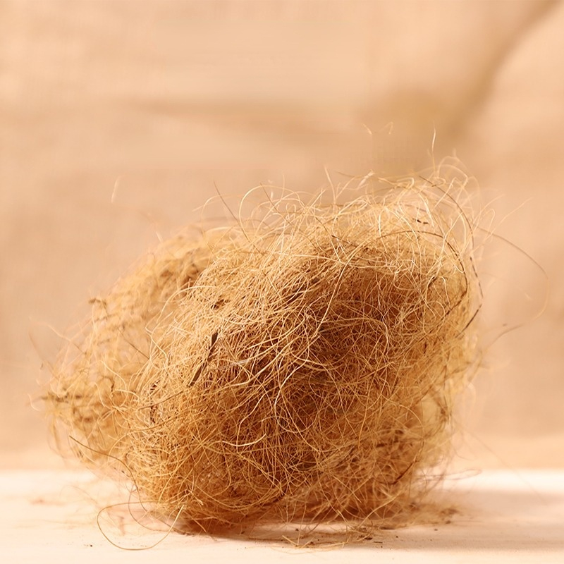 100g Finch Coconut Fiber Loose - Substrate Coconut Fiber ulasan dan harga
