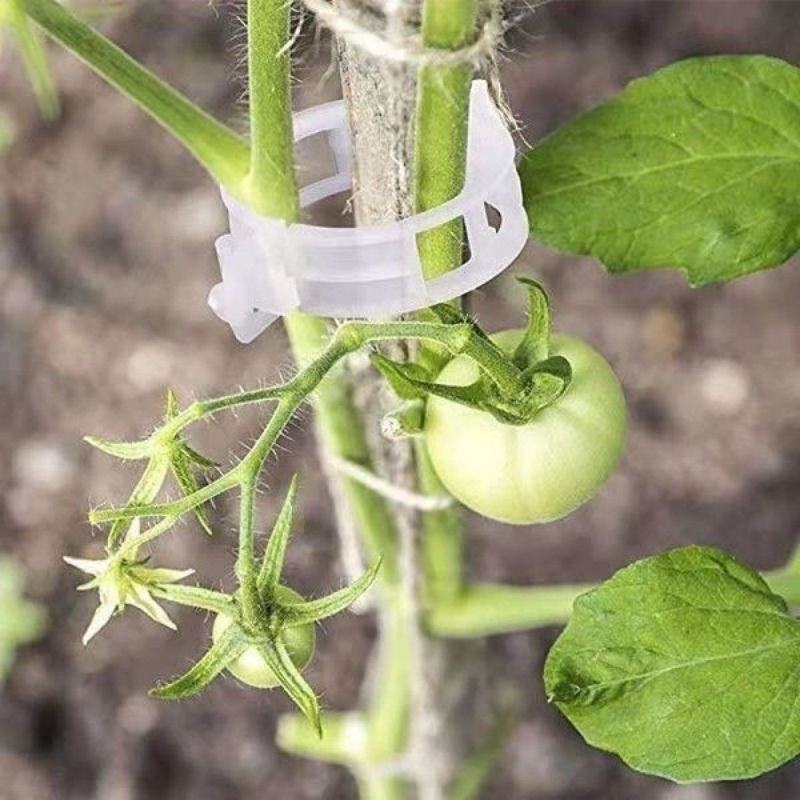 Plastic Plant Support Clips Re - Vine Climbing Plastic ulasan dan harga