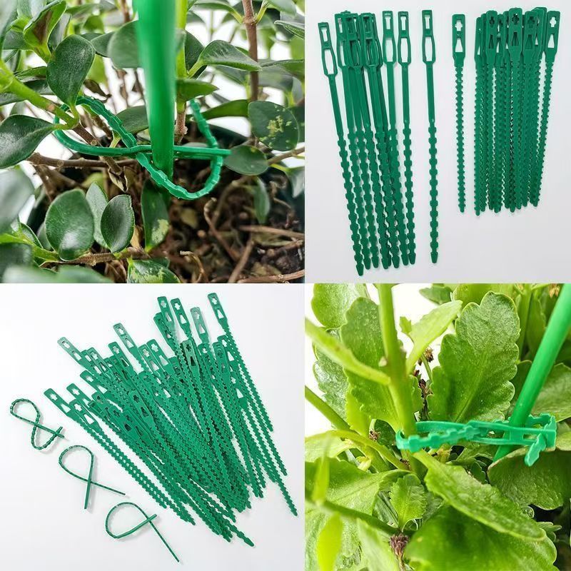 Green Reusable Plant Ties Adju - Vine Climbing Plastic ulasan dan harga