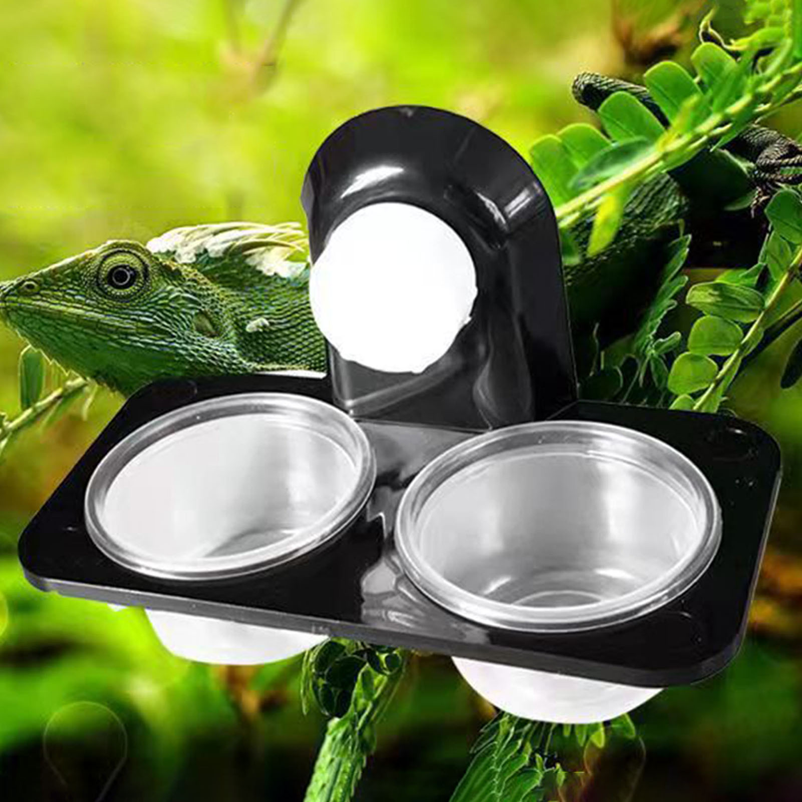 Crested Gecko Feeding Ledge Re - Water Dish Reptile ulasan dan harga